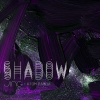 柳李 Atom Panda、JING - Shadow