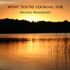 Michael Brandmeier - What You're Looking For