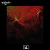 O.X.Y、Kop-Z - Ronin