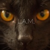 Vegas - L.A.M. (Look At My...)(Explicit)