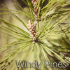 Tmsoft's White Noise Sleep Sounds - Windy Pines