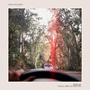 Stefan Ponce、The Mind、Julian Bell - Drive in (feat. theMind & Julian Bell)(Explicit)