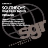 Massivedrum、Dilek Taskin、Johnny Rodry、Southboys - Organik