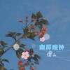 猫二 - 南屏晚钟 (吉他弹唱版)