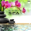 Asian Zen Spa Music Meditation《Asian Zen Spa Music Meditation》[MP3/LRC]