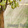 Tmsoft's White Noise Sleep Sounds - Heavy Rain