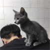 璎珞、精彩文sir、兰灵 - 万人神嗨