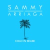 Sammy Arriaga《Cold in Miami》[MP3/LRC]