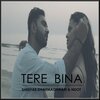 Shreyas Dharmadhikari、Saurabh Chauhan、Keval Walanj、Nirmal SIngh、Ndot - Tere Bina (feat. NDot)