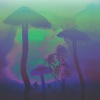 Space Leopard - Palm Trees at Night