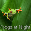 Tmsoft's White Noise Sleep Sounds - Frogs at Night