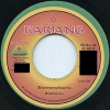 Bushman - Somewhere