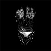 Zahed Sultan - Cake & Butter