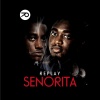 Zed Ay Kay、E Kay、Replay、Jiggy - Wonkoaa (feat. Zed Ay Kay Jiggy & E Kay)