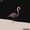 GYM - Break Down (Explicit)