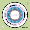 Scotoma - Cotton Wool