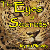 Dewald Wasserfall - The Eyes of Secrets