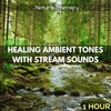 Nature Therapy - Healing Ambient Tones with Stream Sounds: One Hour