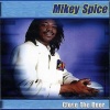 Mikey Spice《The Way You Are》[MP3/LRC]