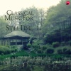 StillTime Classic、Wolfgang Amadeus Mozart - Piano Sonata No. 16 In C Major, K. 545: - I. Allegro