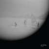Dora - Grasa