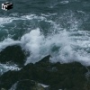 dryhope - high tide