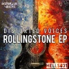 Distorted Voices - Zo Gepiept (Original Mix)