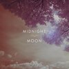 LeVirya、Elleodin - Midnight Moon (feat. Elleodin)