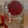 沈若、苏念笙 - 余生请多指教 (DJ版)