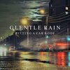 Background Noise From TraxLab - Gentle Rain Hitting a Car Roof, Pt. 1