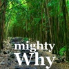Mighty - Why
