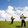 Various Artists、Two Words For You - Assassin