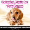 Relax My Puppy、Relaxmydog - Puppy Sleep Therapy