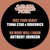 Vibronics、Cultural Warriors、anthony johnson《No More Will I Roam》[MP3/LRC]