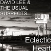 The Usual Suspects、David Lee - Live With the Pain