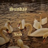 Dedo - Sunday