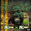 Big Homie、Big Bud - Face Gator (Explicit)
