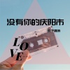 浪子强涛 - 没有你的庆阳市 (伴奏)