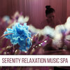 SPA - Spa Massage Meditation
