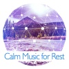 Relaxing Ambient Academy - Positive Vibes