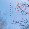 邵天霖、DJ敏少 - 你是人间四月天