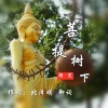 颜笑 - 菩提树下