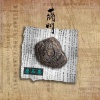 蒋明 - 遗忘之诗