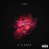 MoR - Taboo (Explicit)