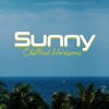 Wonderful Chillout Music Ensemble、Hawaiian Music - Lebanese Music