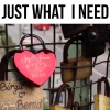 Joy Frost《Just What I Need》[MP3/LRC]