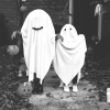 Halloween Partystarters、I Love Halloween、Halloween-Kids - Midnight Trapdoor