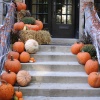 Halloween Party Songs、The Citizens of Halloween、I Love Halloween - Eyes Wide Shut
