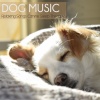 Dog Music Therapy、Dog Music Waves、Dog Music Zone《Music for Your Dog Whilst You're Away》[MP3/LRC]