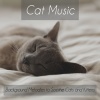 RelaxMyCat、Cat Music Dreams、Pet Music Therapy - Positive Sleep